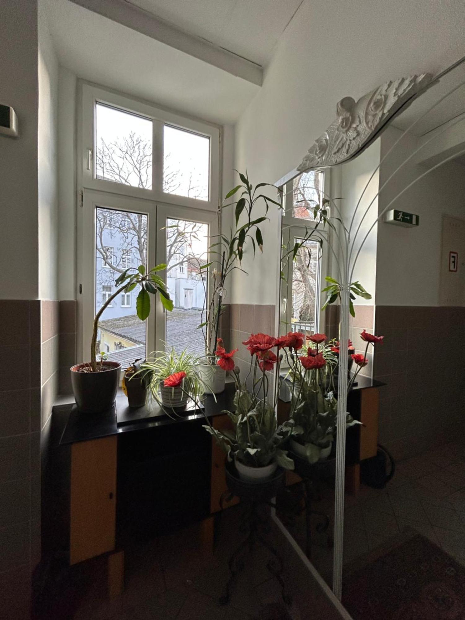Reiner Apartment Viyana Dış mekan fotoğraf